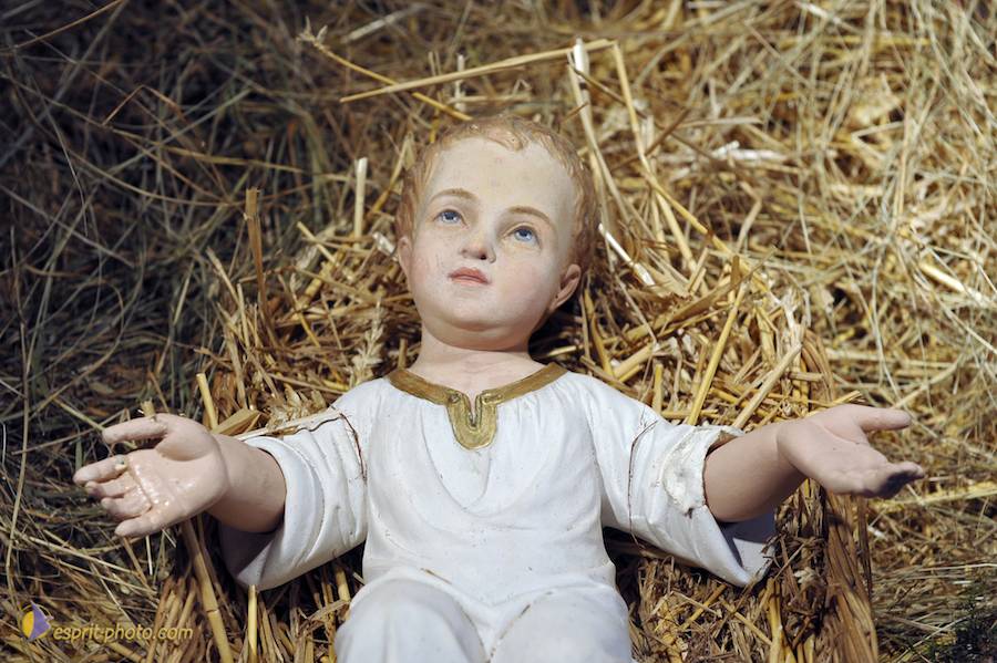 Nom de l'image : D30043027_1_(c)Norbert-JUNG — Description :